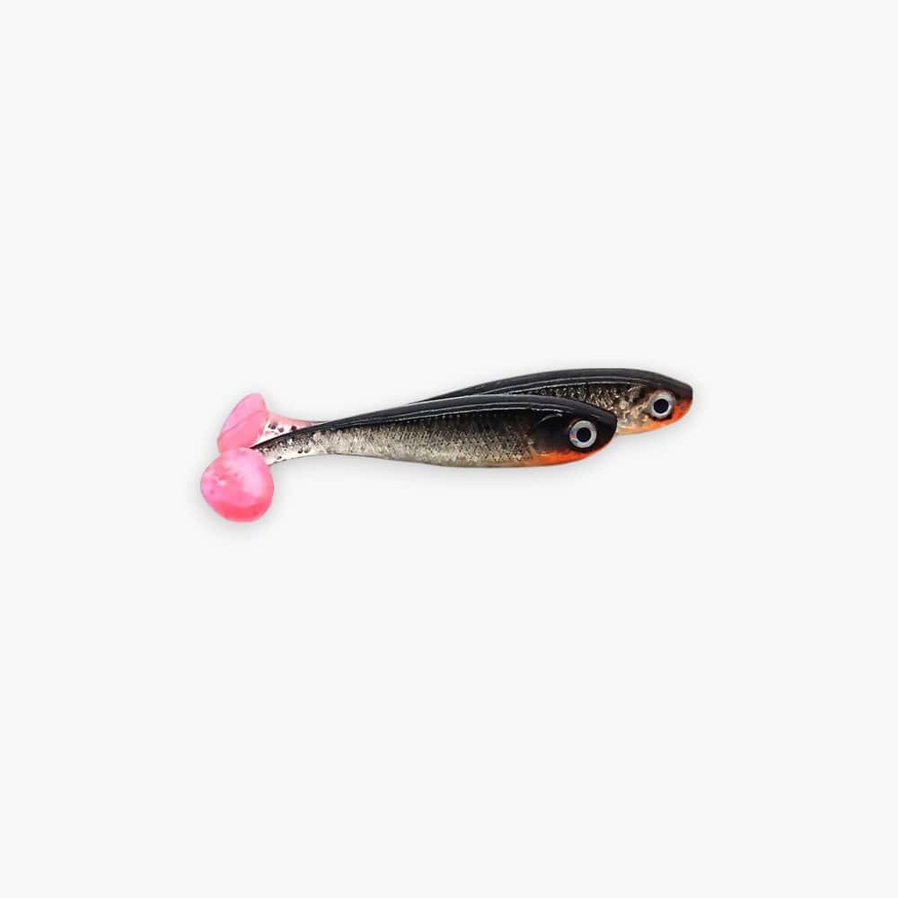 Zander Gummis (5st) mit design