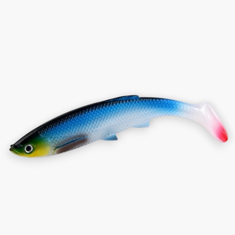 Hecht Gummi