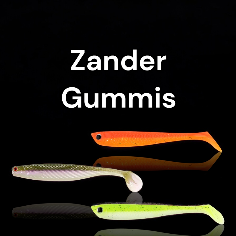 Zander Gummis
