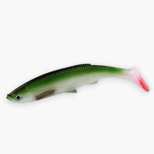 Hecht Gummi
