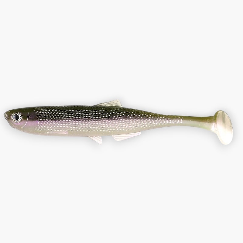Zander Gummis in Mengen